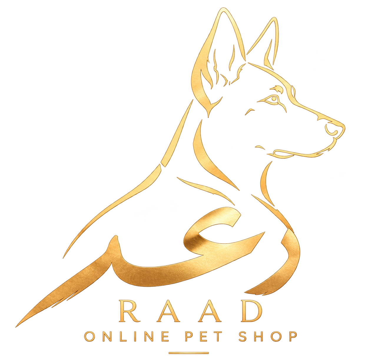 coming-soon-logo